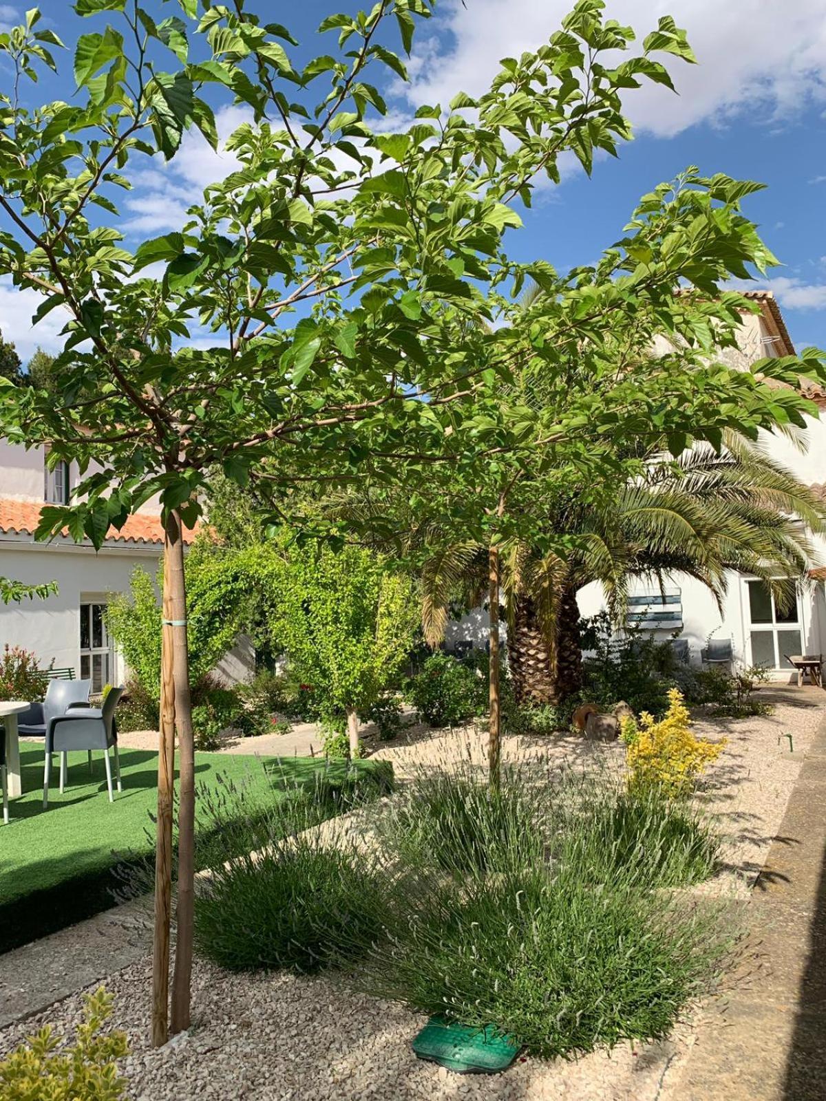 Ermita Del Carmen Hijar Hotel Hijar  Екстериор снимка